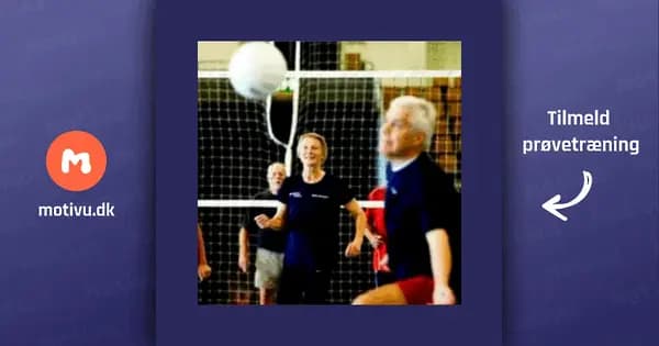 Volleyballkamp
