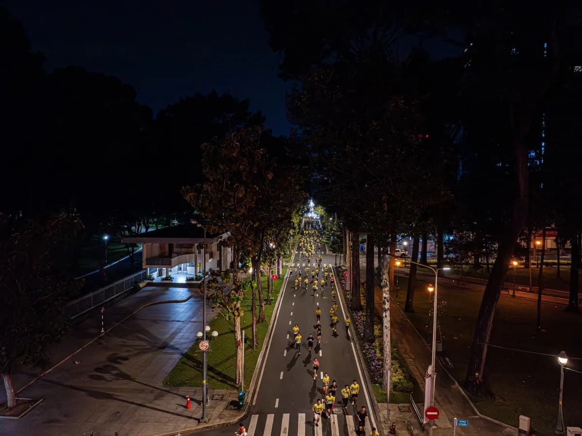Aerial view of runners in a night marathon on a tree-lined city street